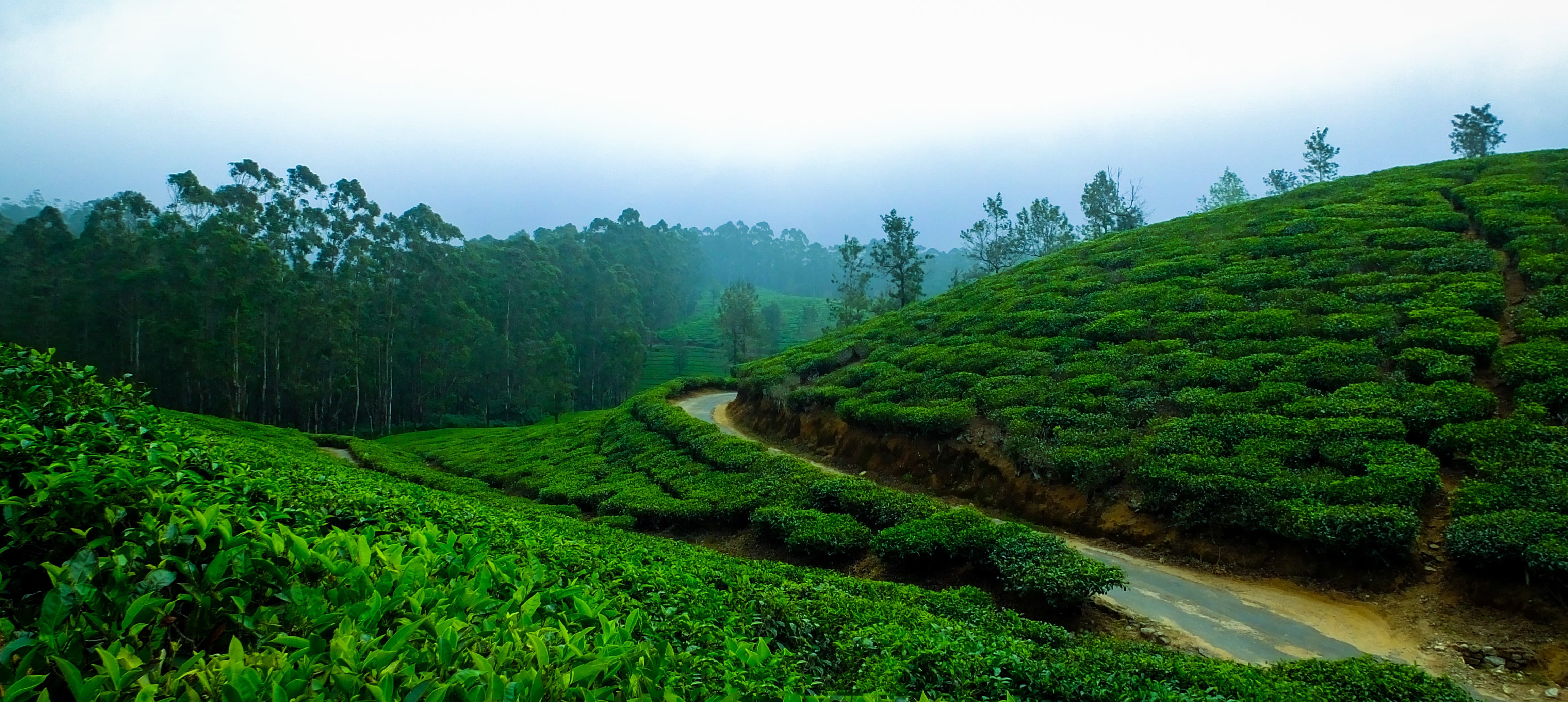 Karma Vythiri, Kerala Banner